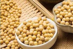 便攜式蔬菜農(nóng)藥檢測(cè)儀檢測(cè)大豆農(nóng)殘